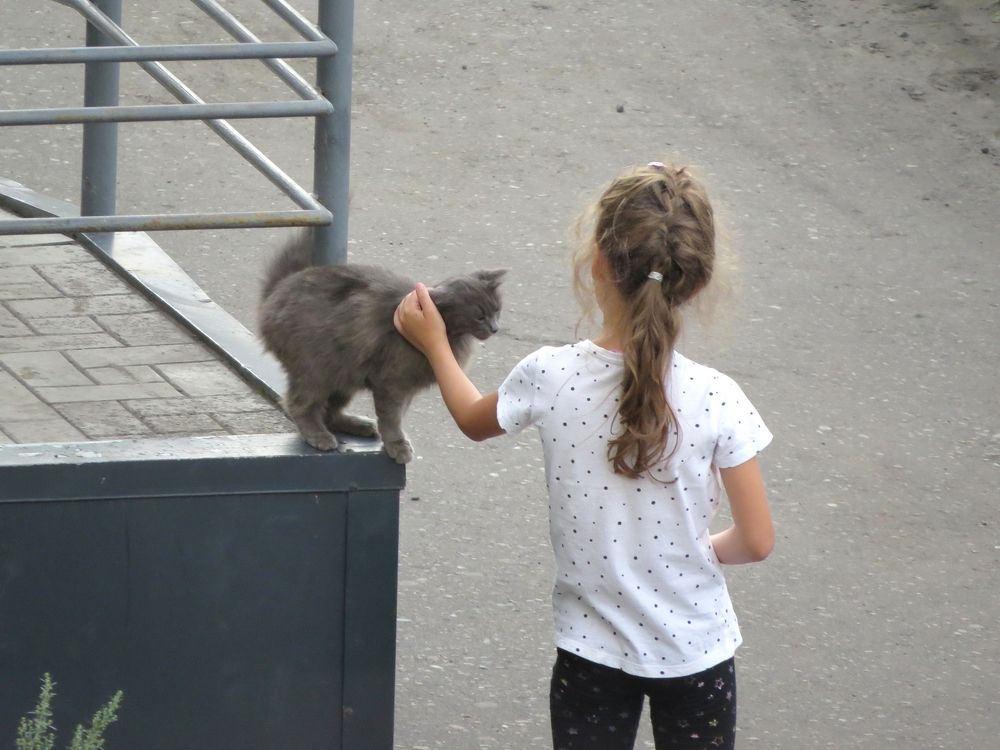 Девочка и кошка