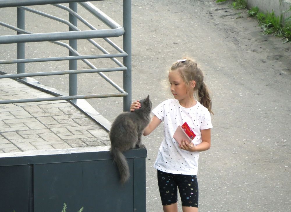 Кошка и девочка