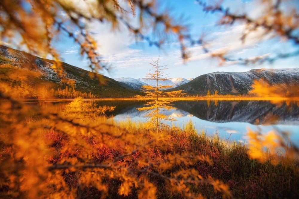 Photograph by Владимир Кочкин