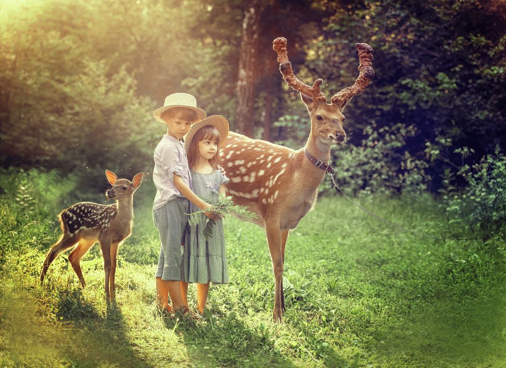 Photograph by svetlana Teteryatnik