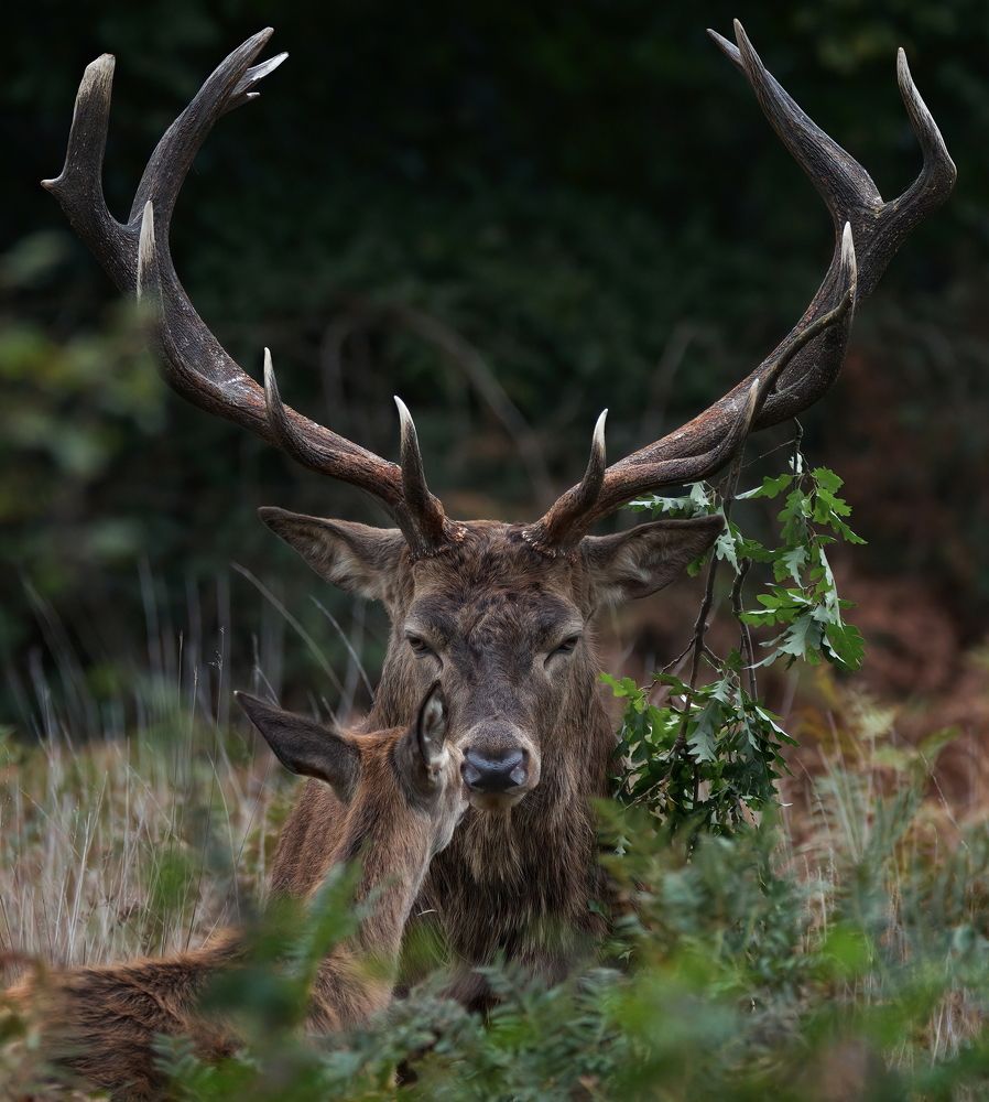 Фотография автора Jaroslaw Kowalski