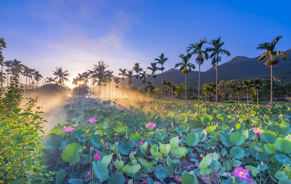 Lotus Village welcomes the dawn