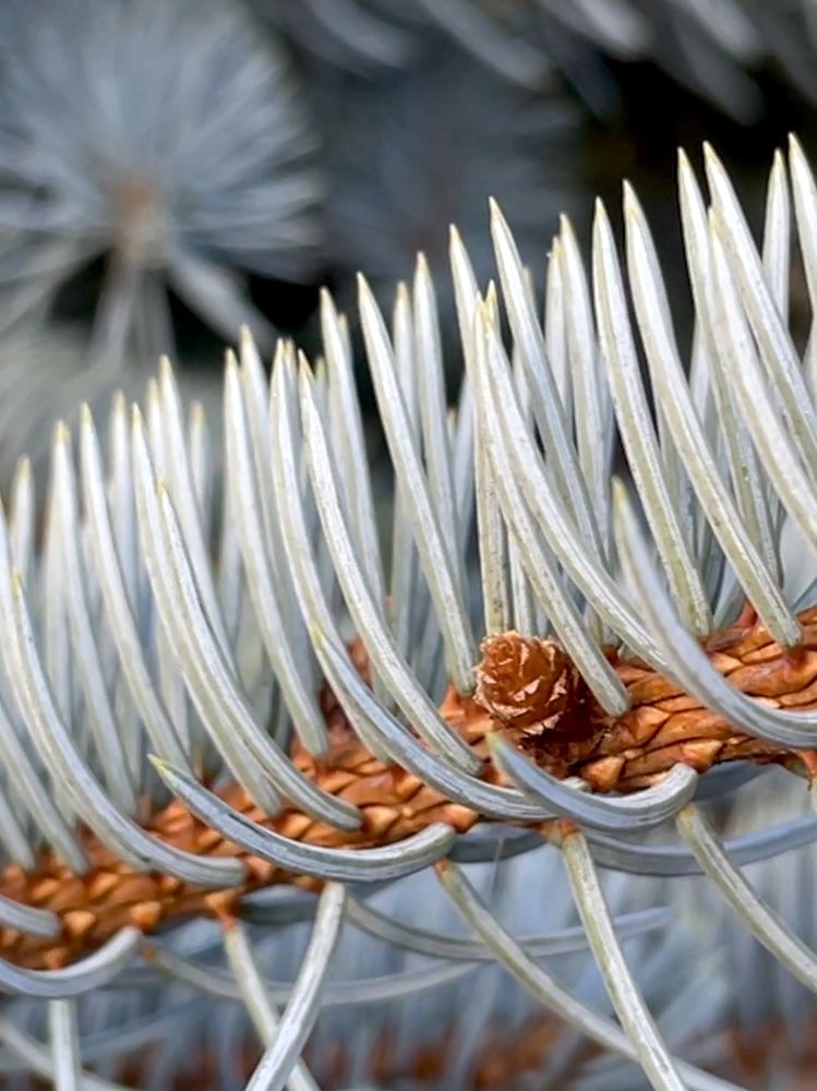 Photograph by Татьяна Ноздрина