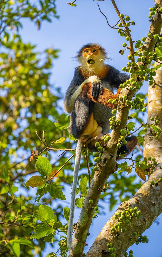 Photograph by Nguyễn Hiệp
