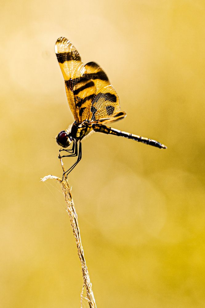 Photograph by Jorge Ortega