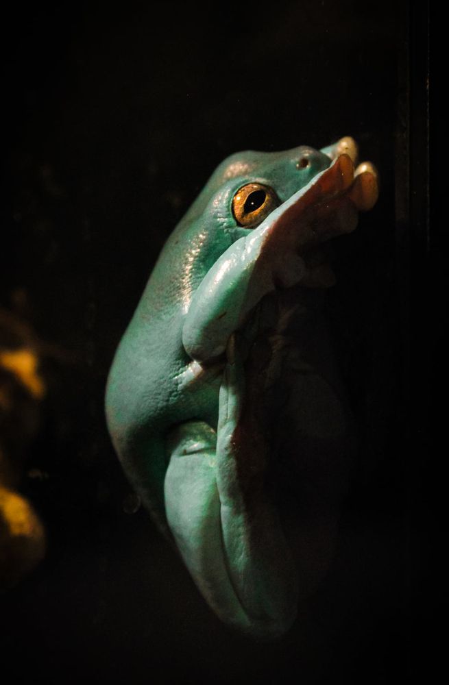 Photograph by Ksenia Mihhailovskaja