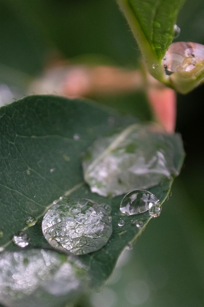 Photograph by Кадырова Анастасия