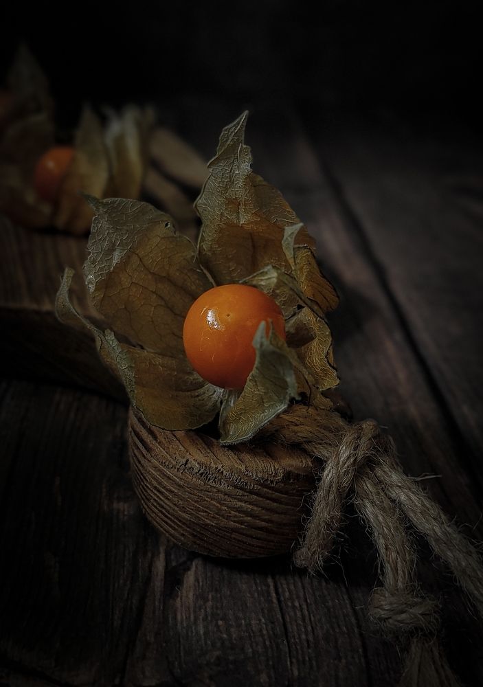 Photograph by Helen Ka