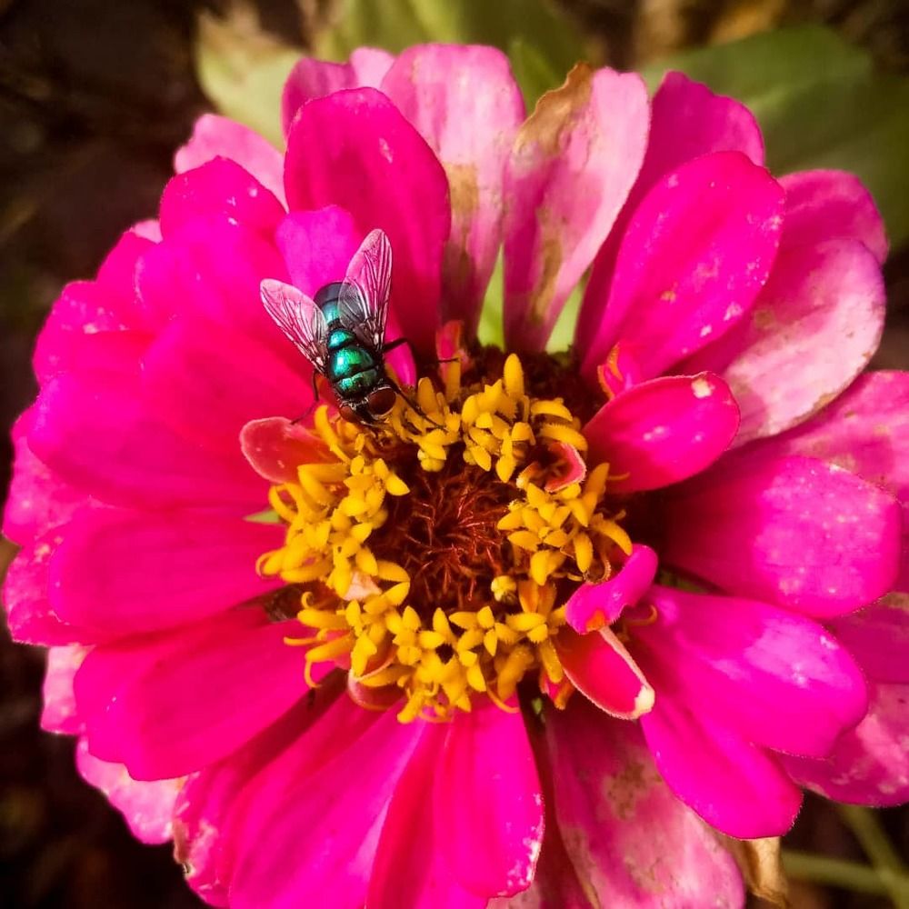 Photograph by Дарья Лазарева