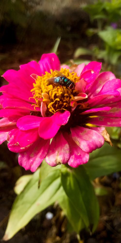 Photograph by Дарья Лазарева