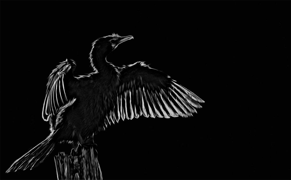 Photograph by Alida Du Toit