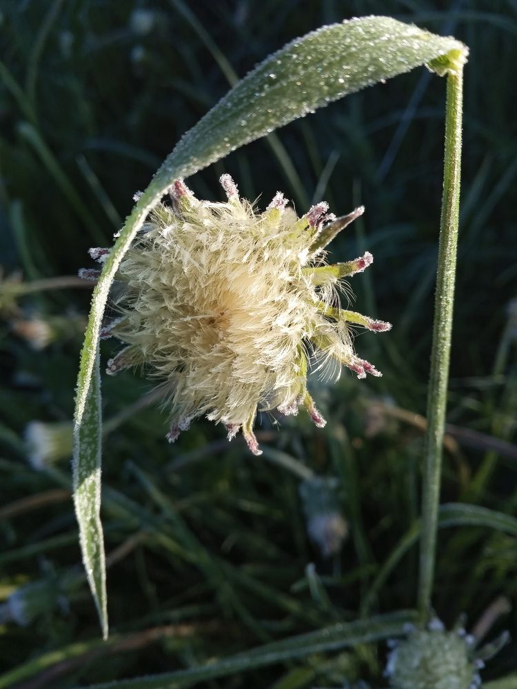 Photograph by Любовь Шаврина