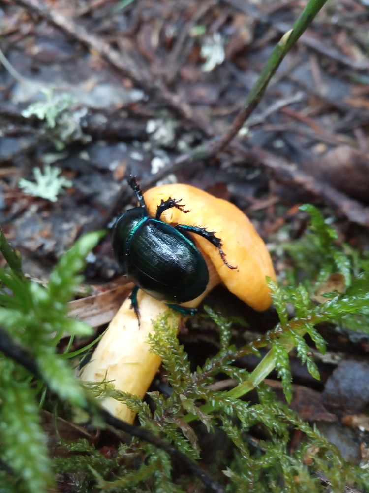 Photograph by Любовь Шаврина