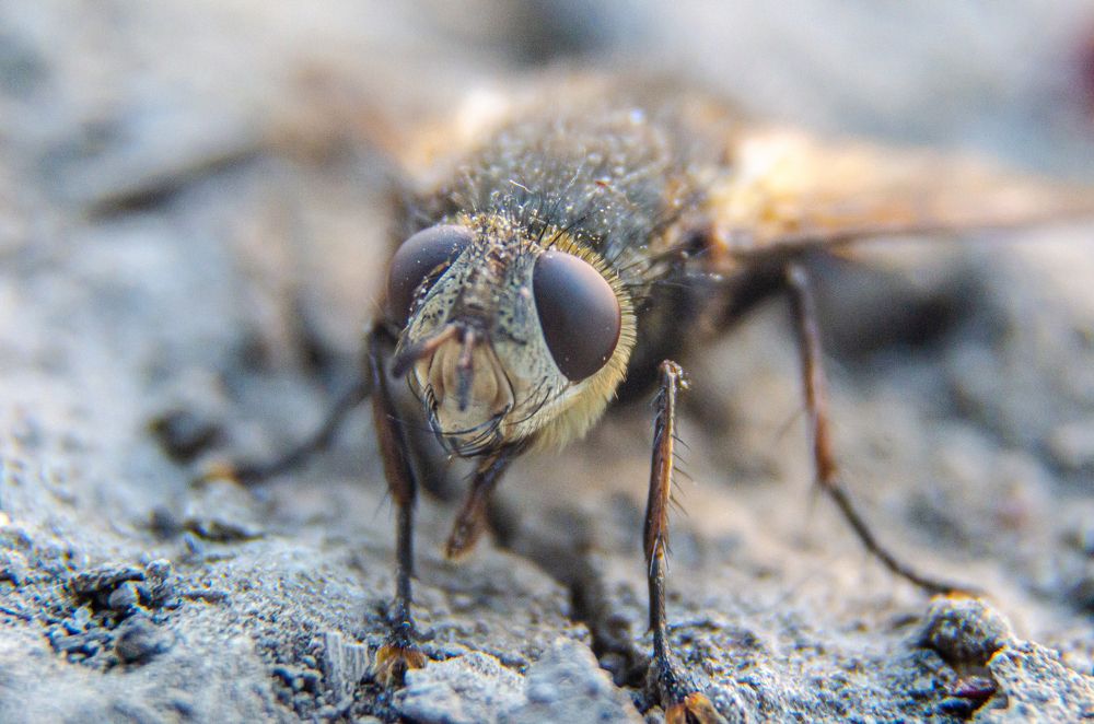 Photograph by Саша Литвин