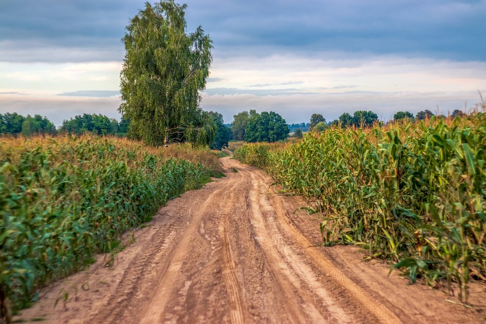 Скоро наступит осень.
