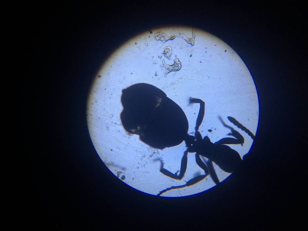 Фотография автора Inna Krekhovetska