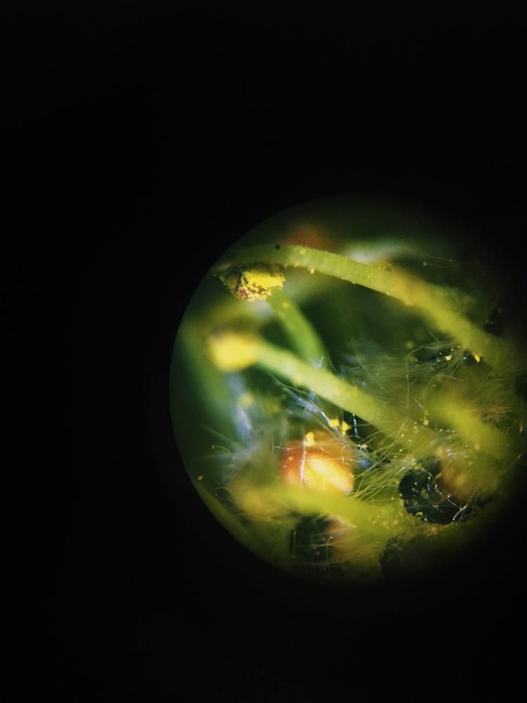 Фотография автора Inna Krekhovetska