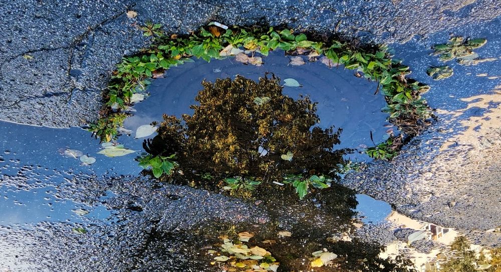 Photograph by Ирина Аверьянова