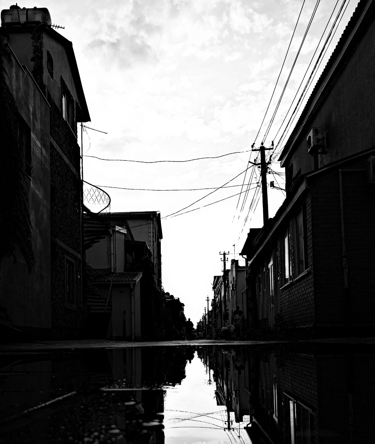 Photo #6522842