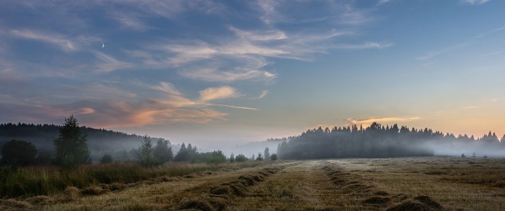 ТУМАН В ХОЛОДНЫХ ТОНАХ