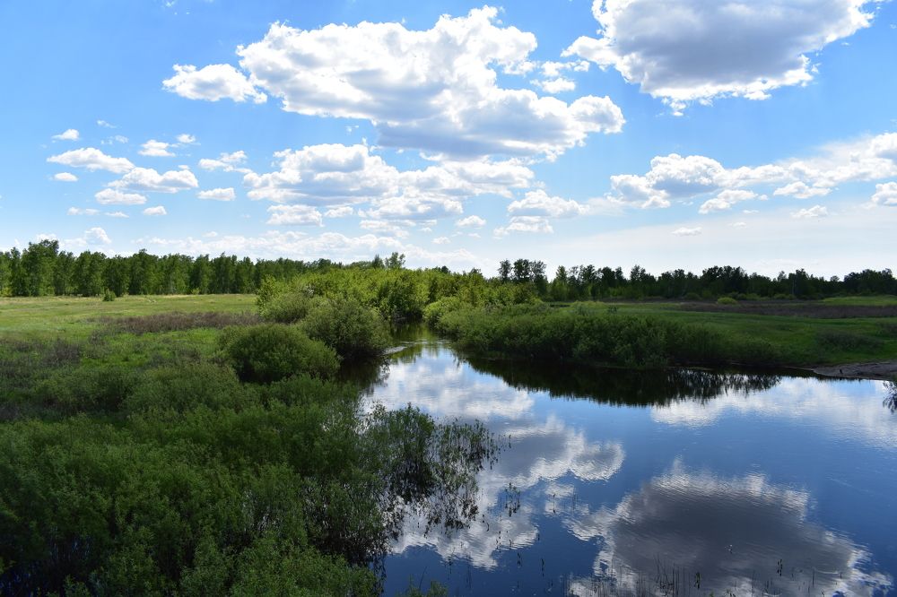 Photograph by Андрей Юденков