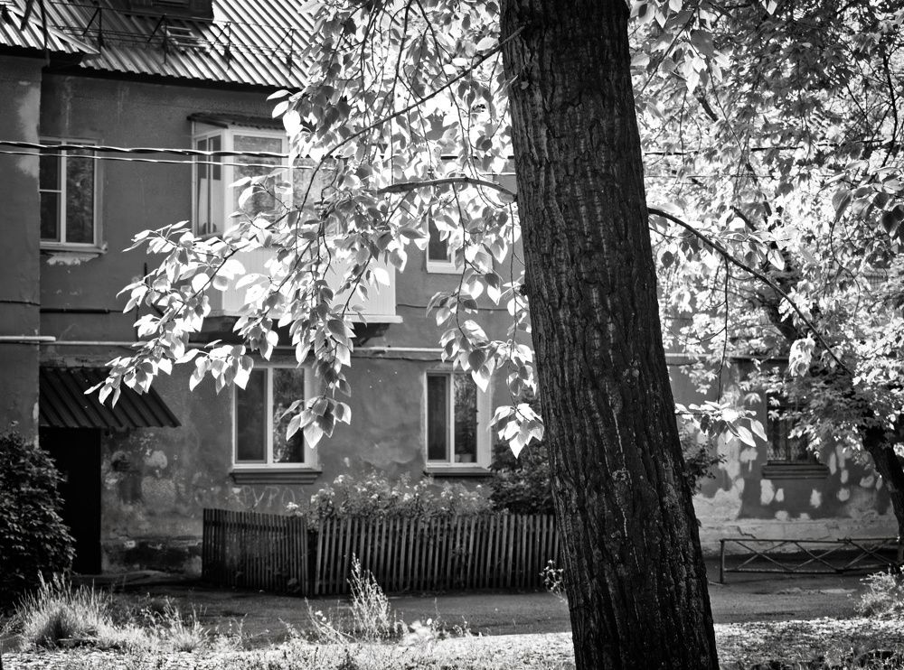 Photograph by виталий штерн
