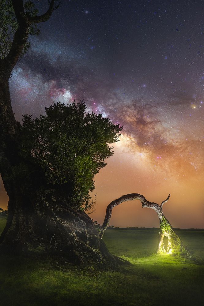 Фотография автора alexander forst