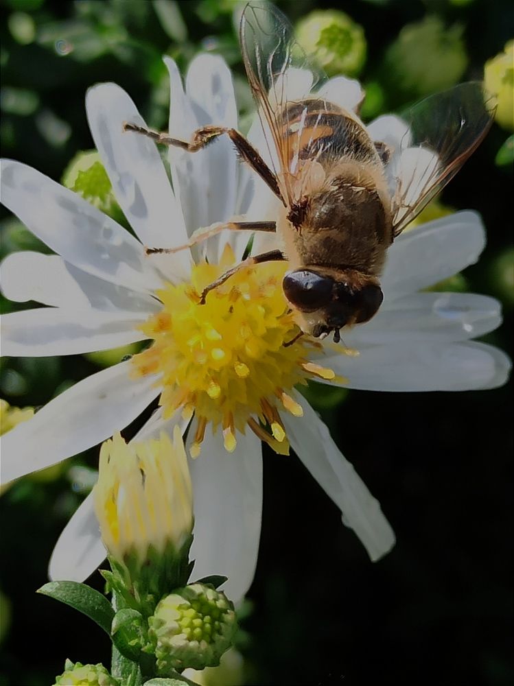 Фотография автора Татьяна Долгушева