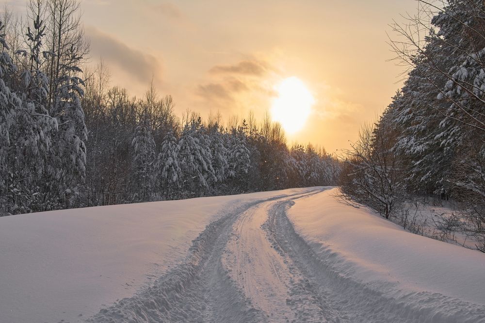 Photograph by Georgiy