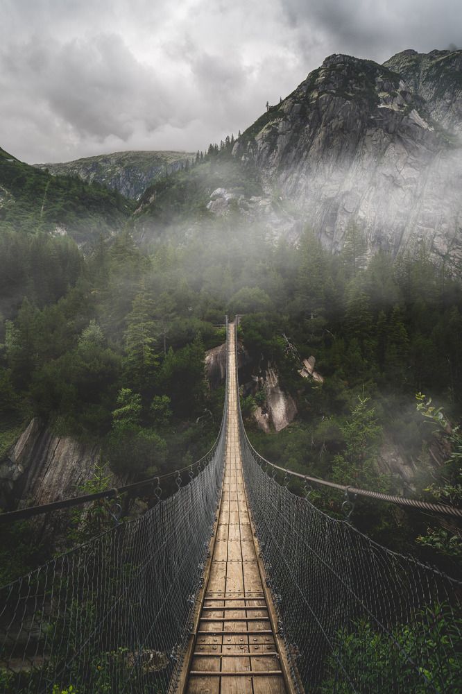 Фотография автора alexander forst