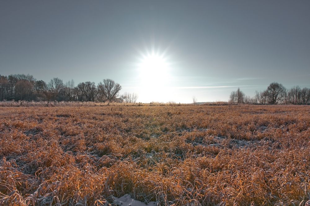 Photograph by Georgiy