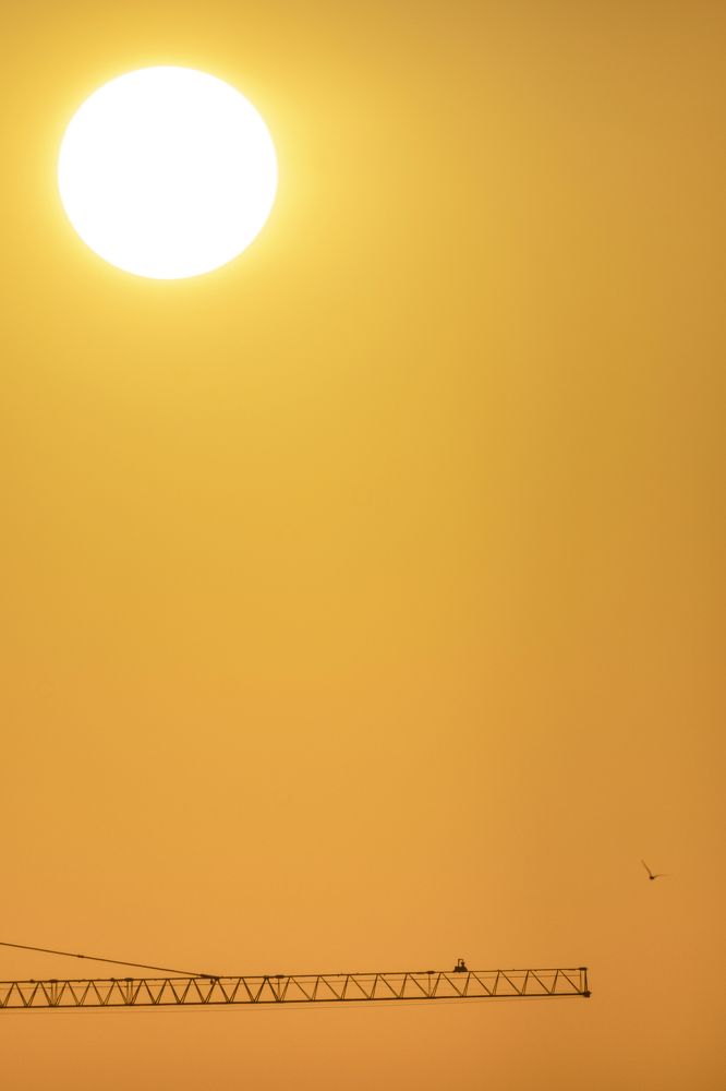 Photograph by Юлия Золотухина