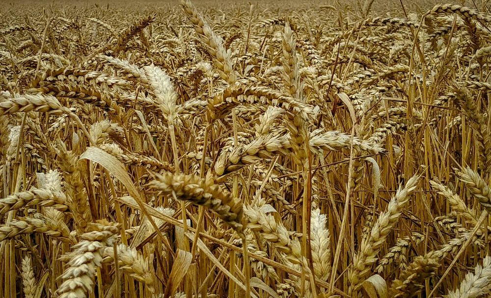 Photograph by Aleksandr Barsukov