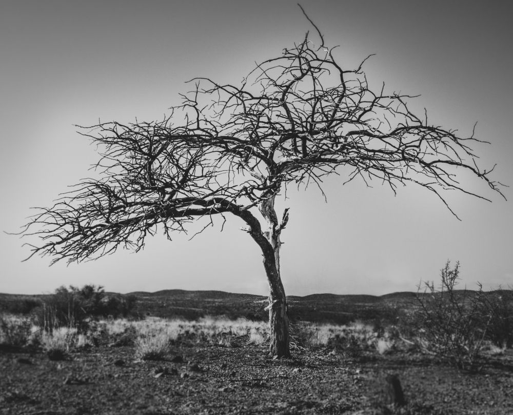 Photograph by Dalene Botes