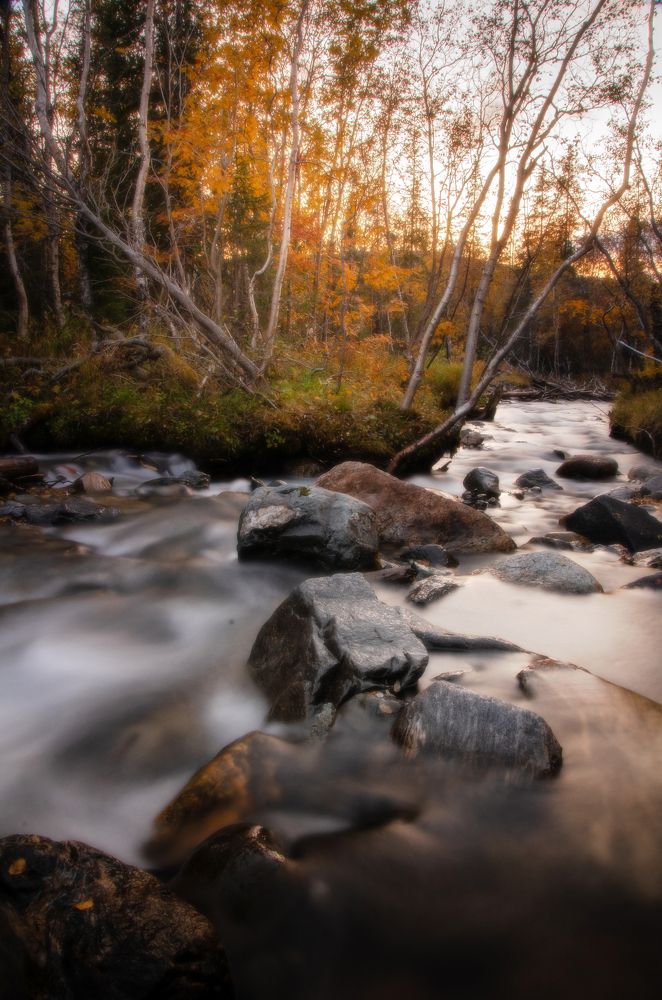Осеннее предгорье Хибин