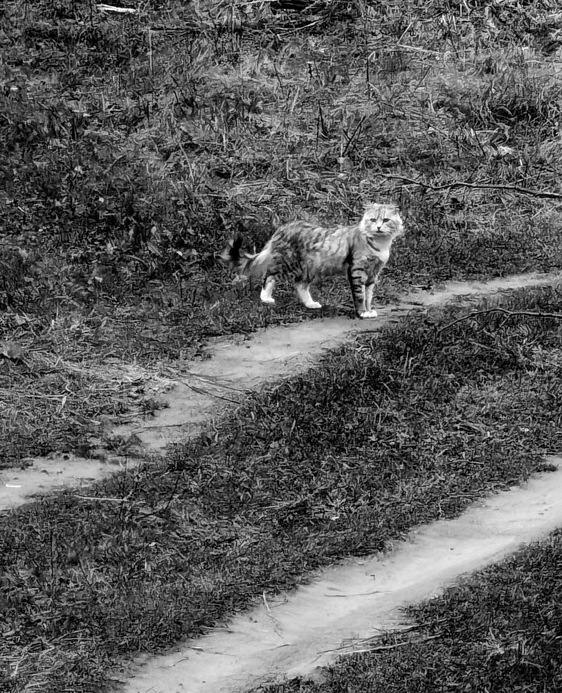 Photograph by Николай Филоненко