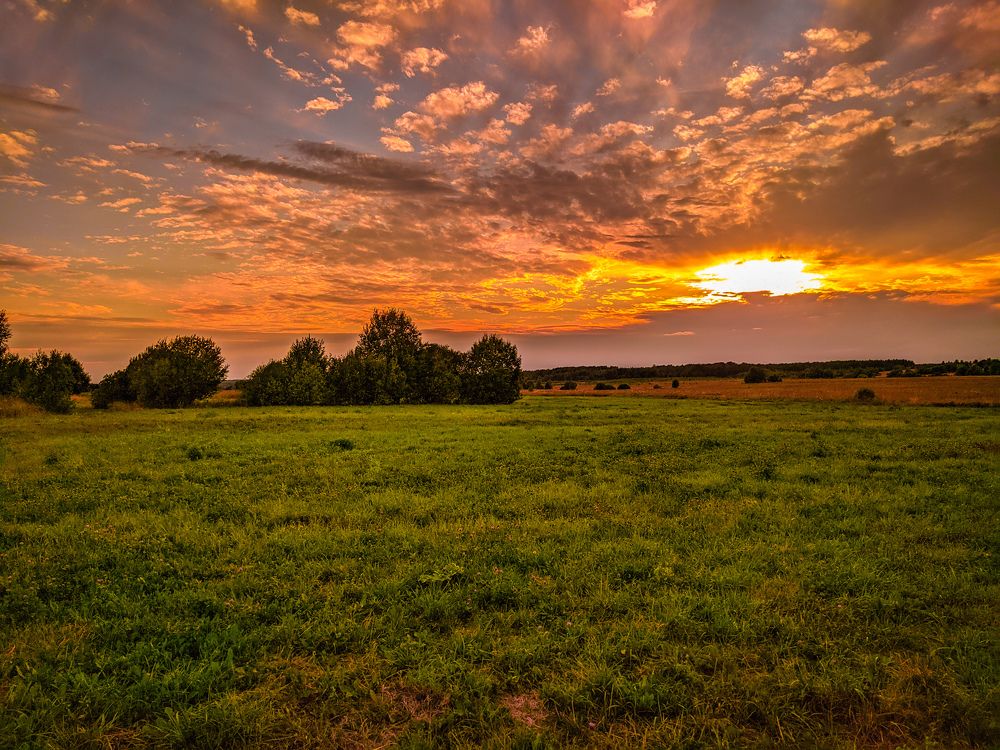 Photograph by Светлана