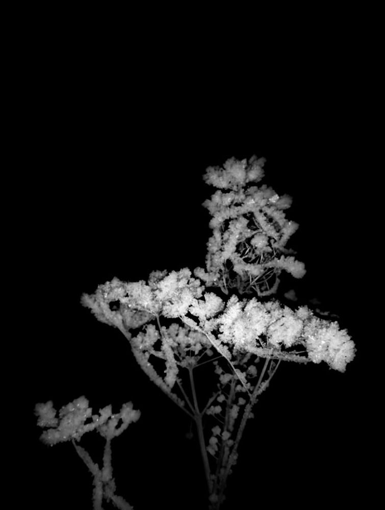 Photograph by Маркова Даша