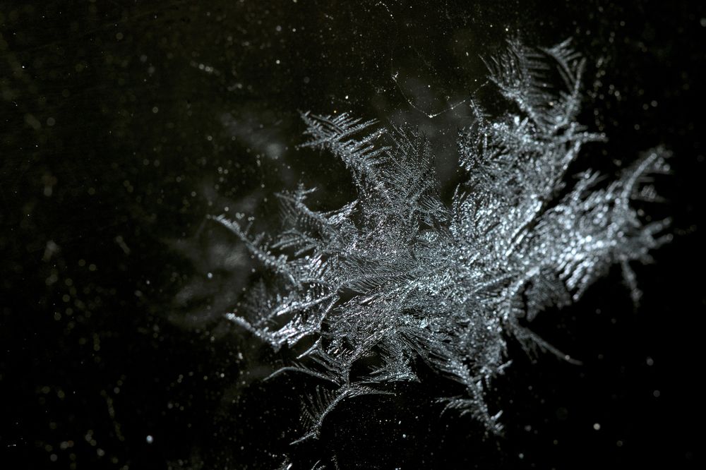 Photograph by Сергиенко Екатерина