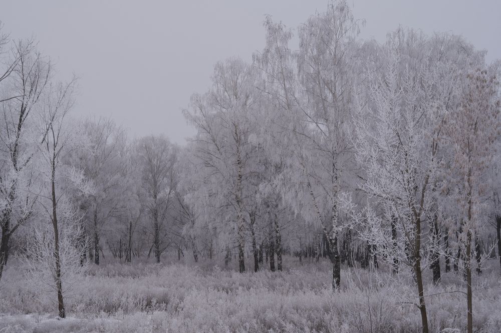 Photograph by Georgiy