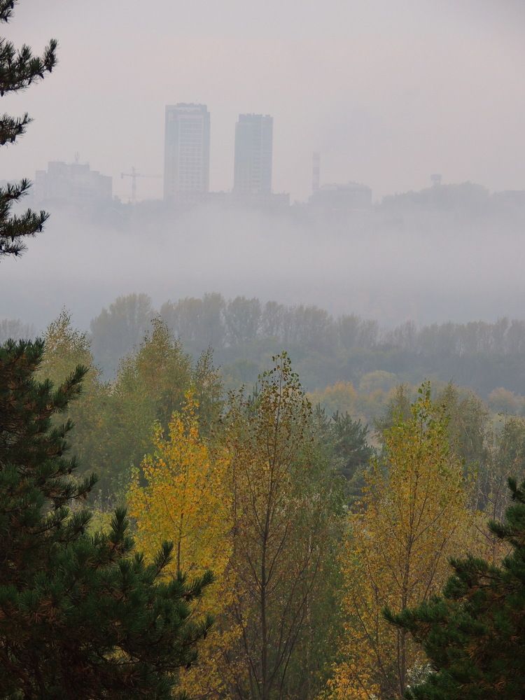 Photograph by Николай Николаевич Леухин