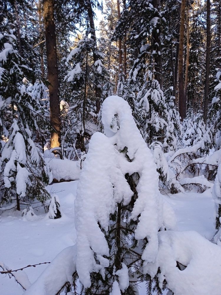 Зимушка - зима