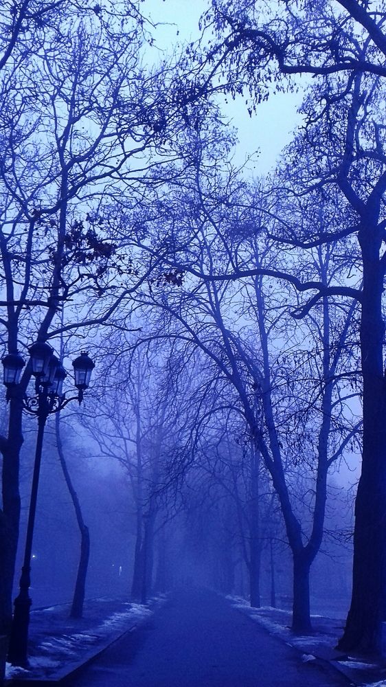 Фиолетовая мистика