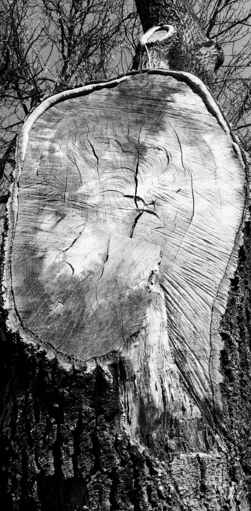 Photograph by Лариса Неудачина