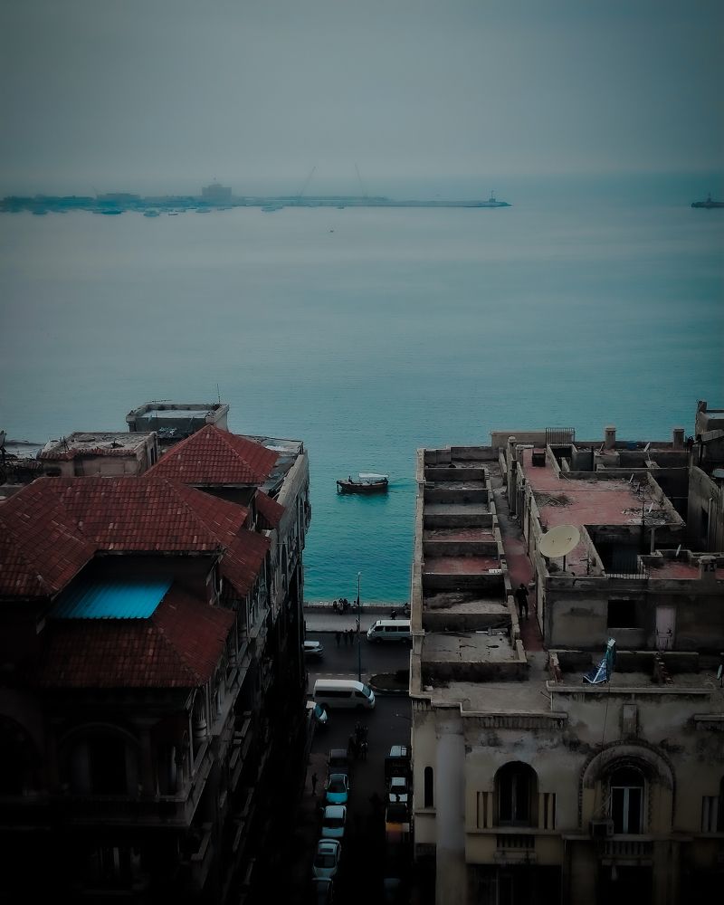 Palace walk بين القصرين