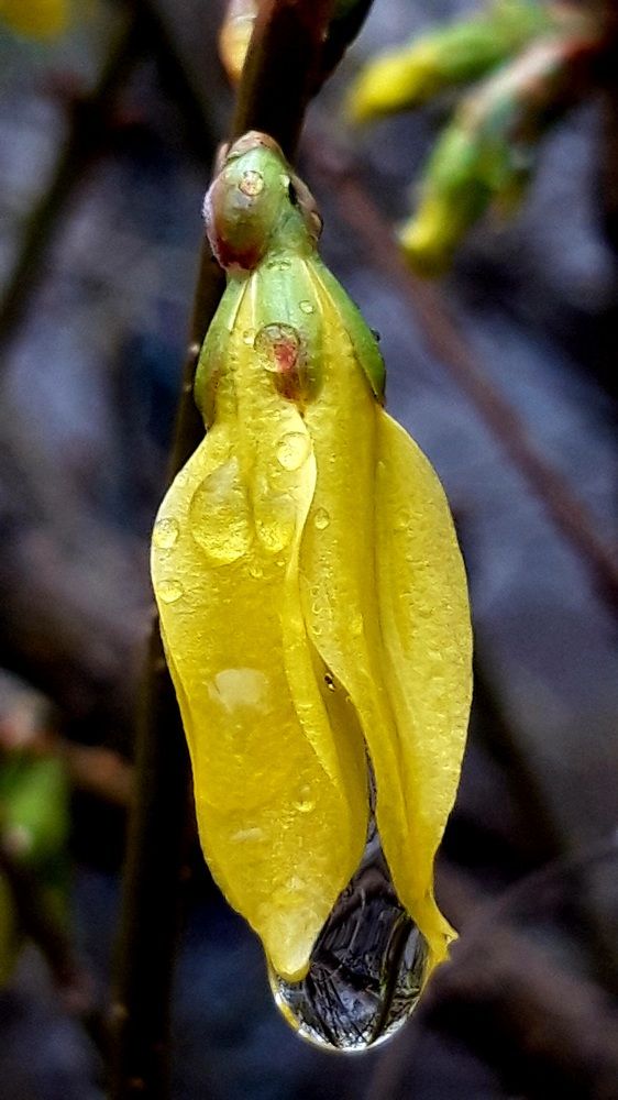 Photograph by Ольга Коруц