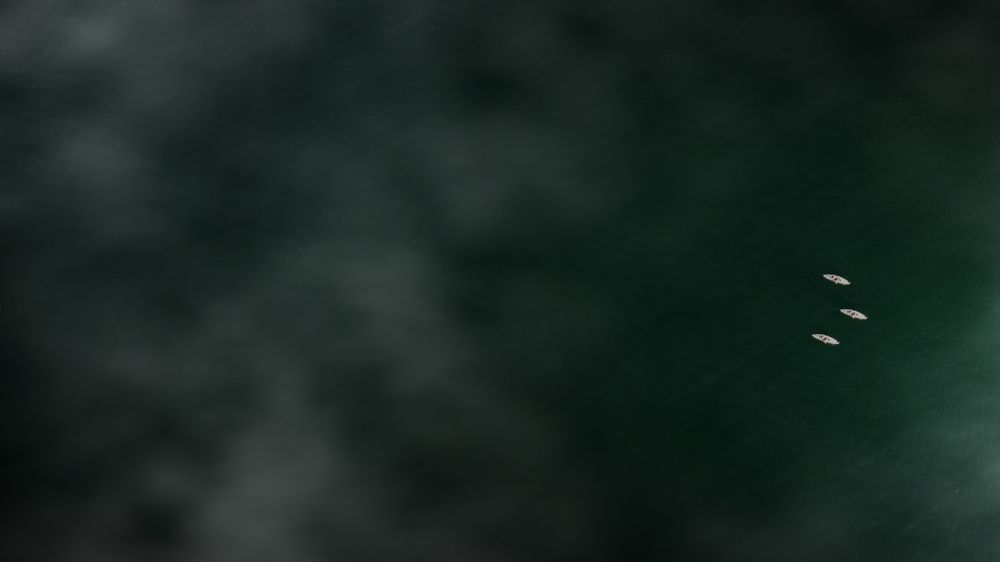 The Three Musteekers