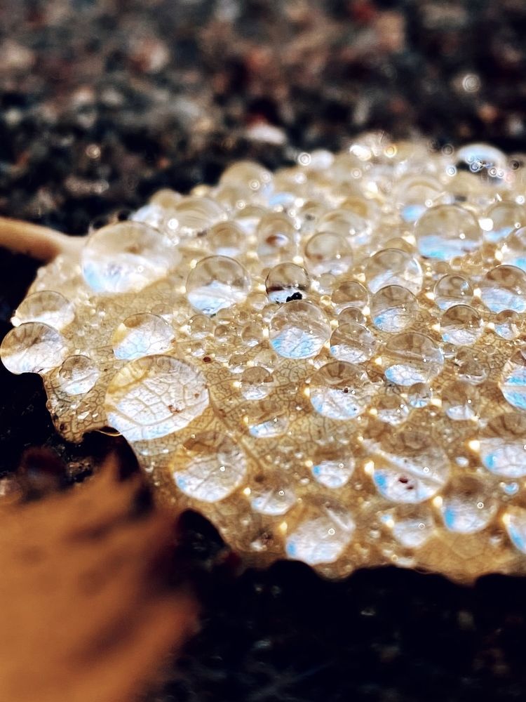 Photograph by Виктория Ярина