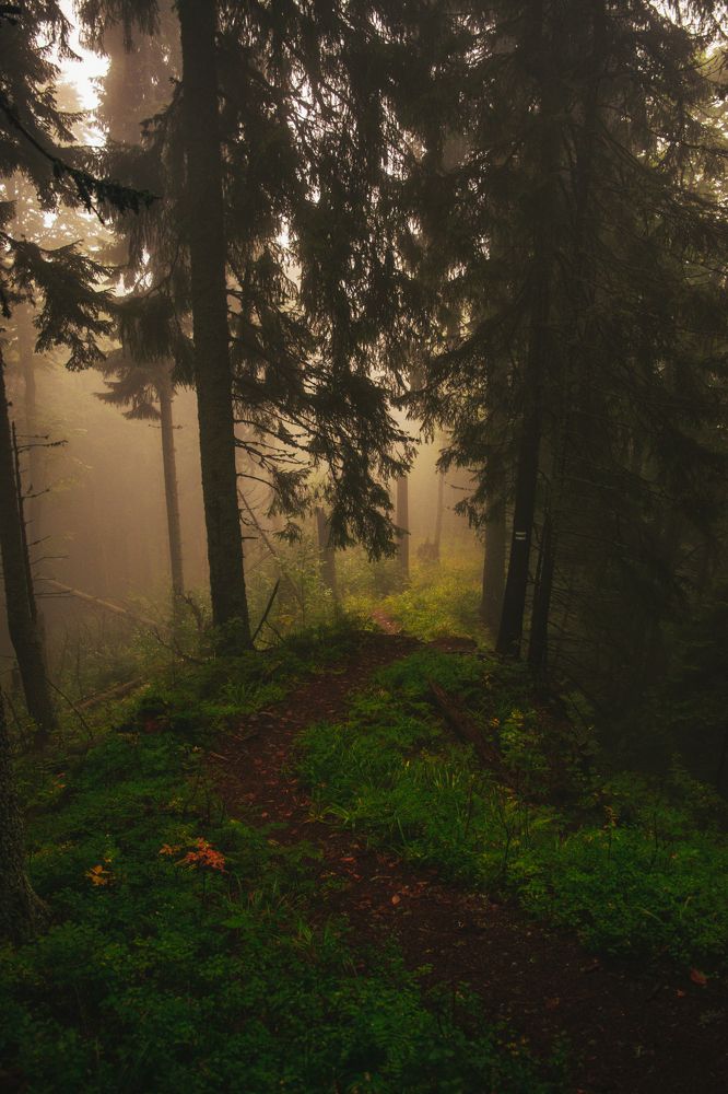 Photograph by Кристина Оксенюк