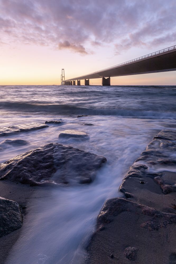 Photograph by Jesper Fried Vive